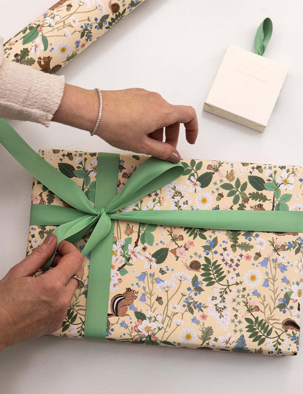 Gift Wrap Roll 30m - Chipmunk Gift Wrapping Bespoke Letterpress