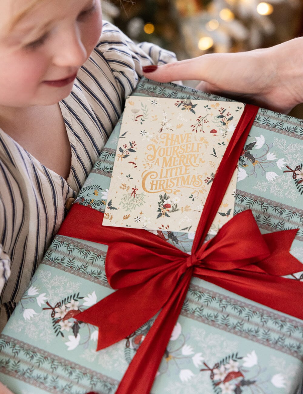 Gift Wrap Roll 30m - Christmas Songbirds