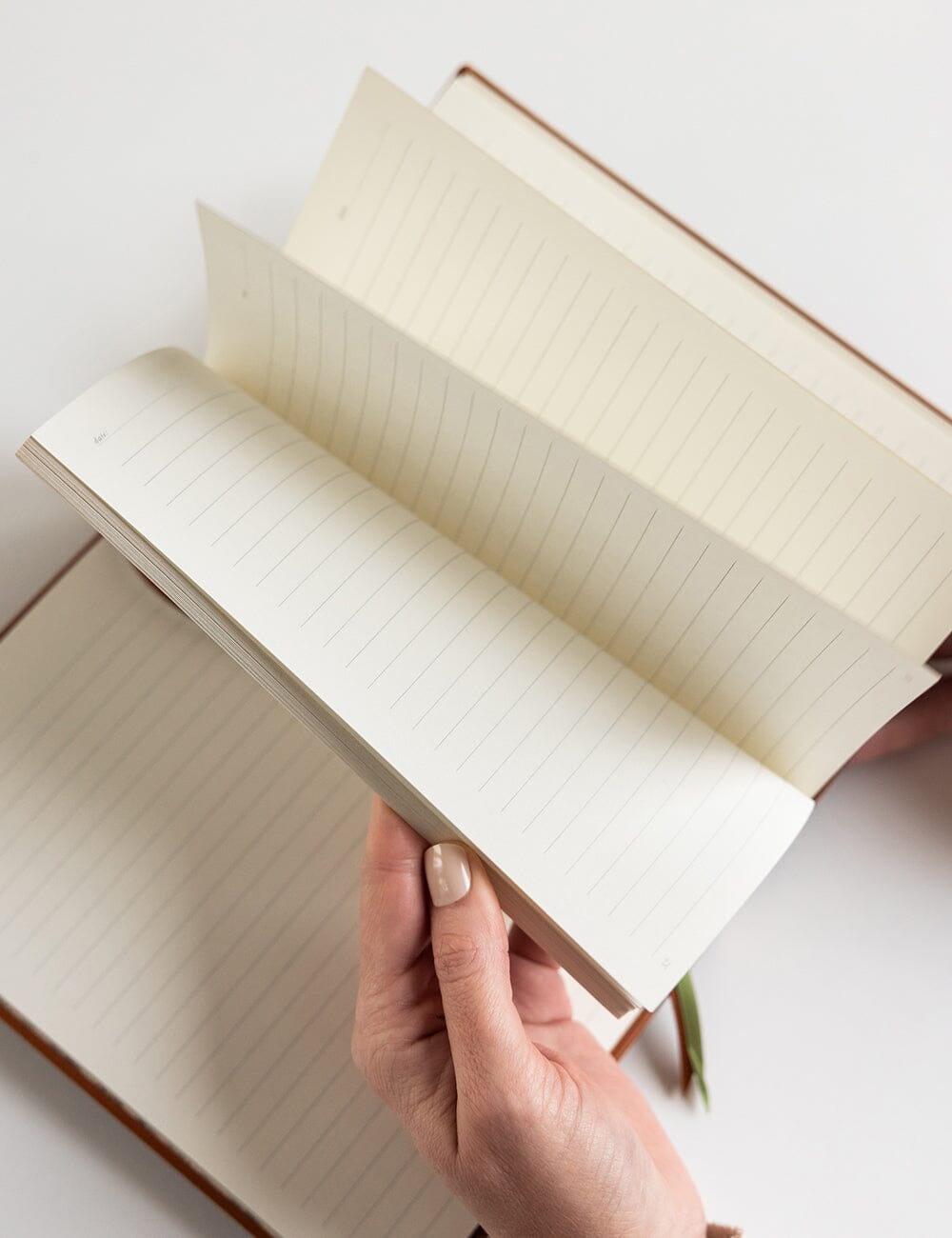 Classic Notebook - Tan (Lined)