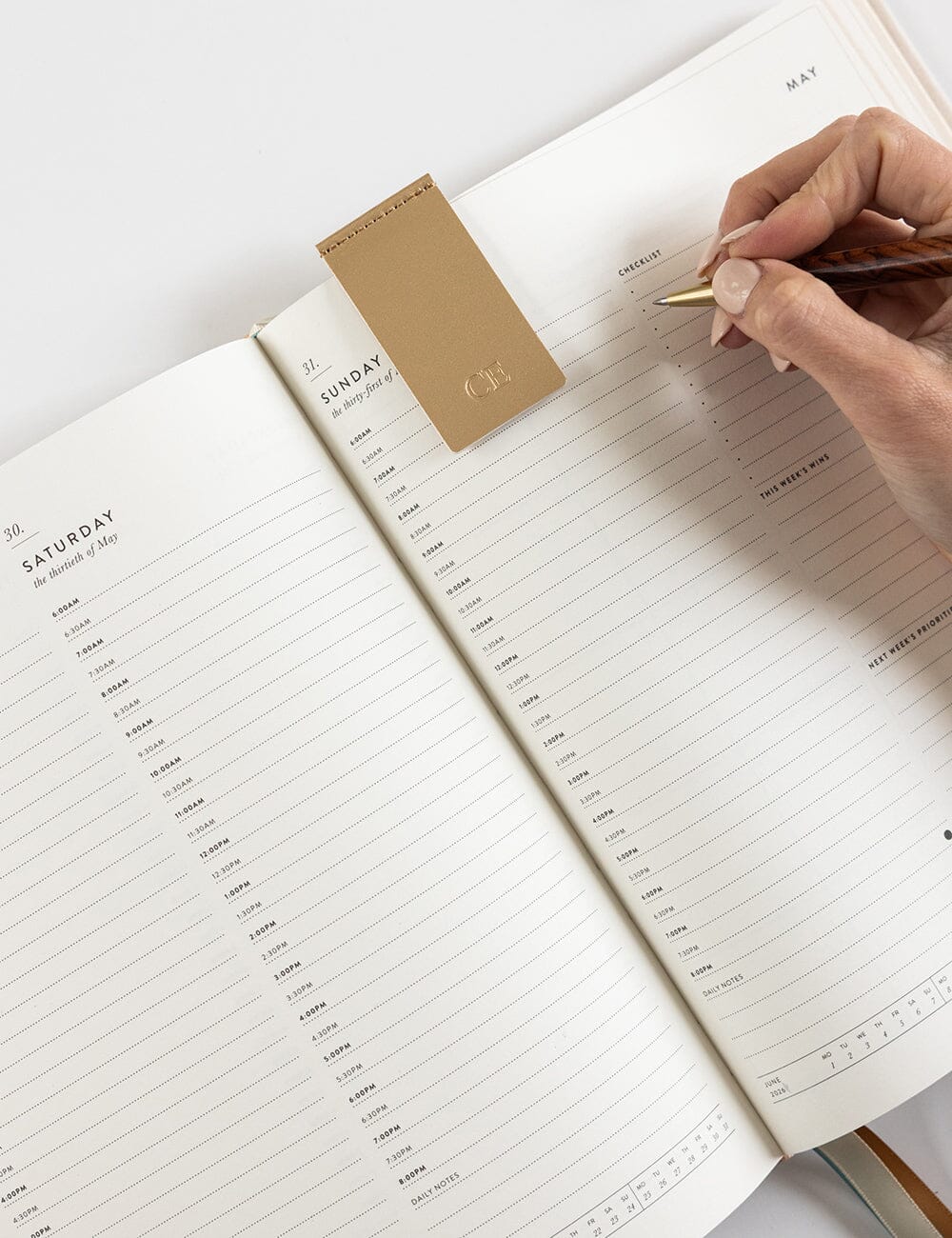 2026 Daily Vertical Appointment Planner - Sand