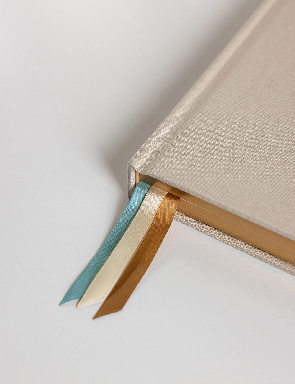 2026 Daily Vertical Appointment Planner - Sand