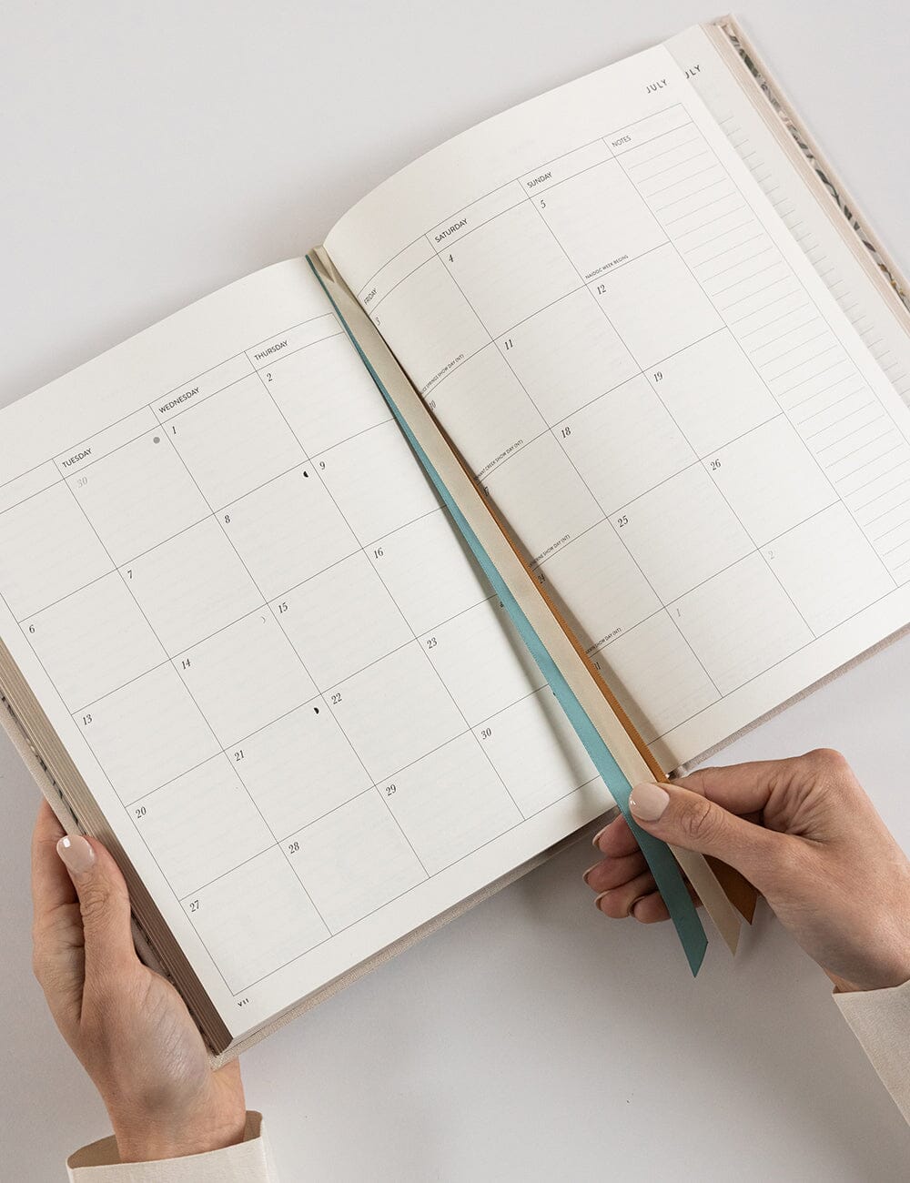 2026 Daily Vertical Appointment Planner - Sand