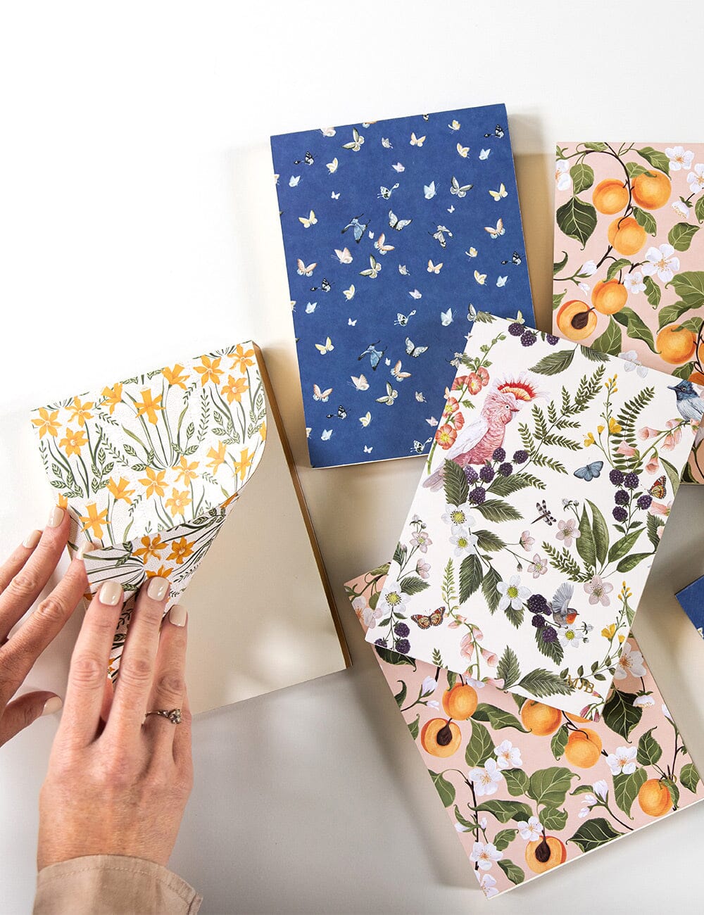 Daffodil Notepad Desktop Jotter