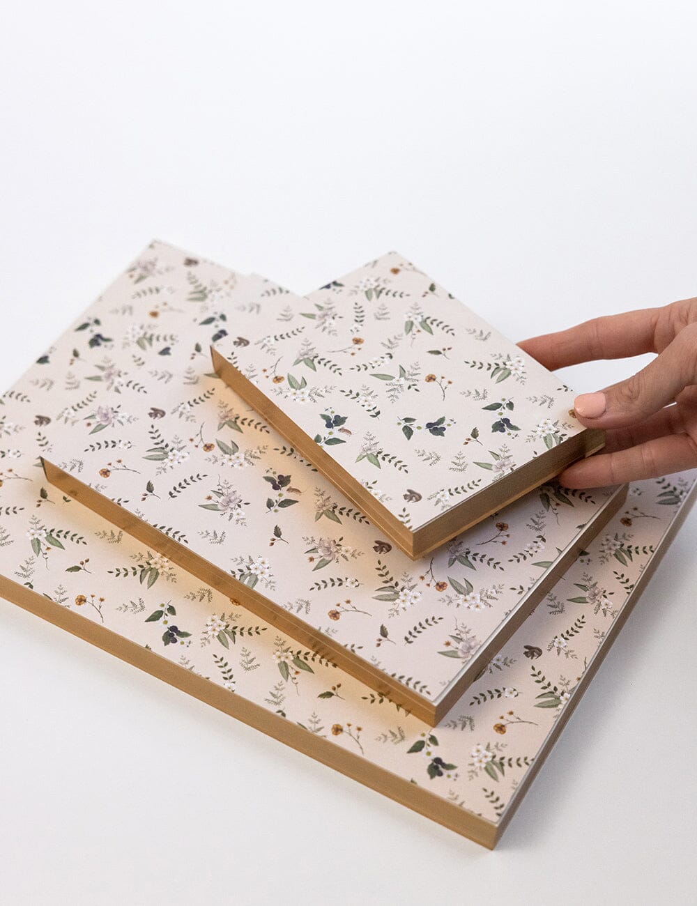 Button Fern Notepad Desktop Jotter