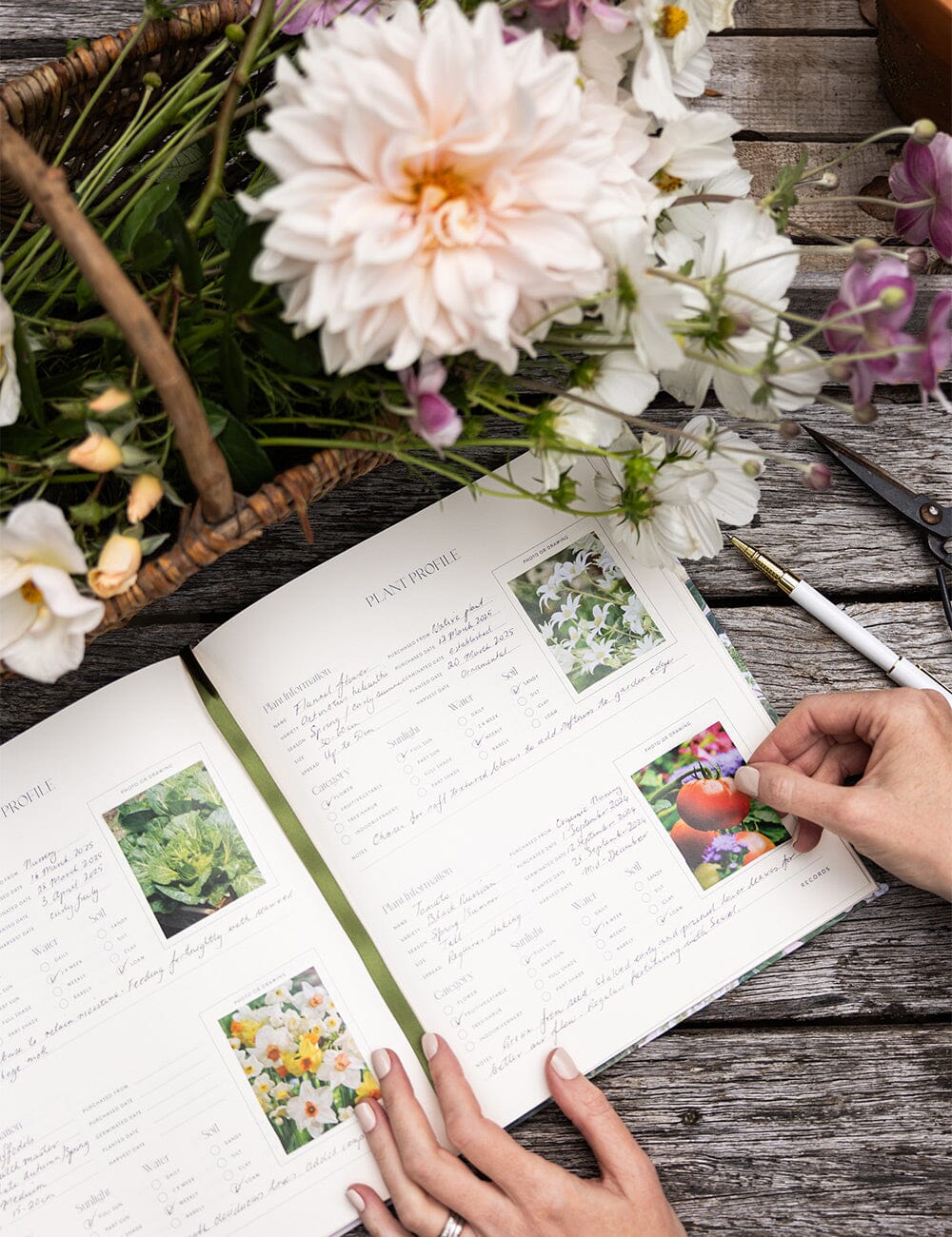 Heirloom Gardening Journal - Hydrangea