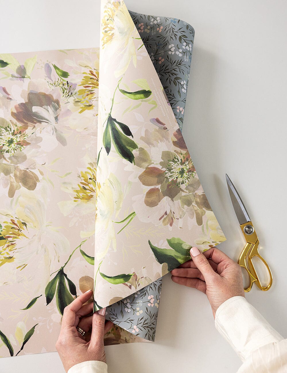 Peony Study/Primrose 6pk Gift Wrap Gift Wrap Bespoke Letterpress