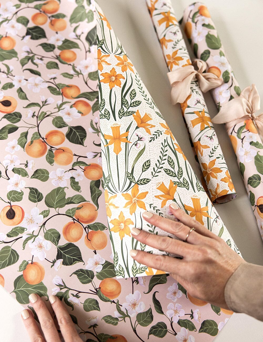 Peaches / Daffodil 6pk Gift Wrap Sheets Gift Wrap Bespoke Letterpress
