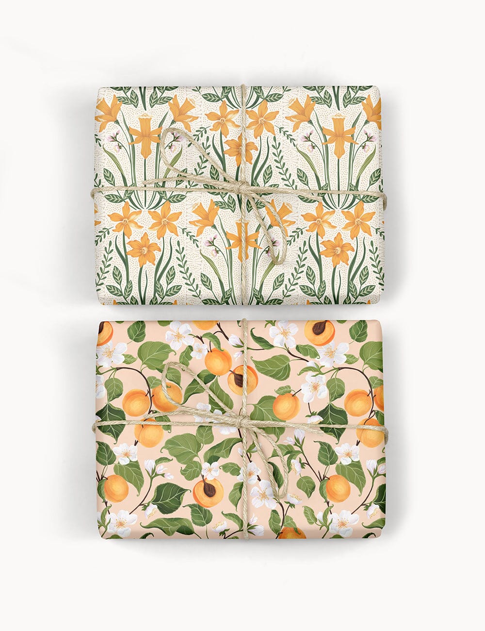 Peaches / Daffodil 6pk Gift Wrap Sheets Gift Wrap Bespoke Letterpress