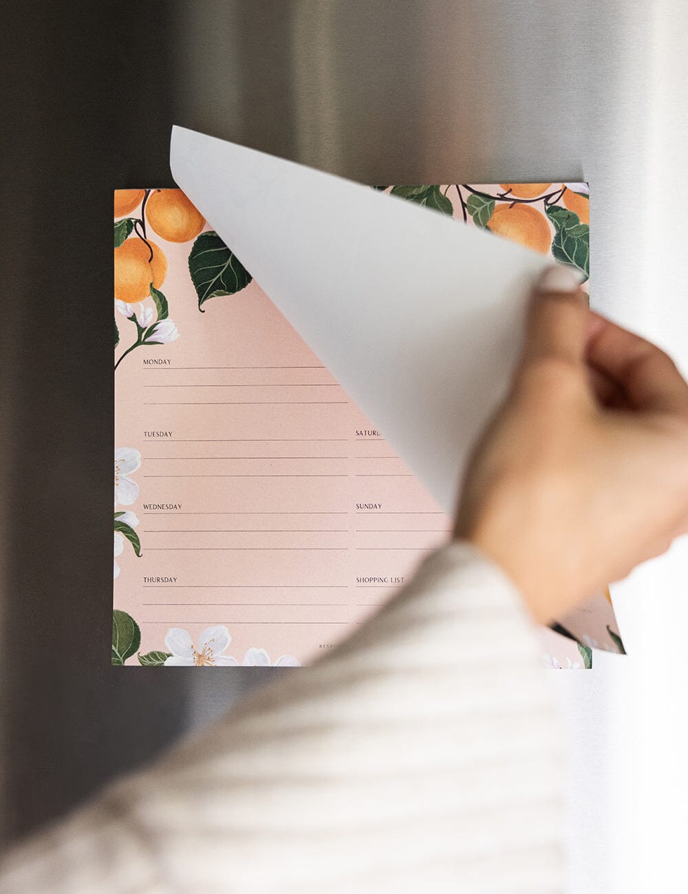 Meal Planner Notepad - Peaches