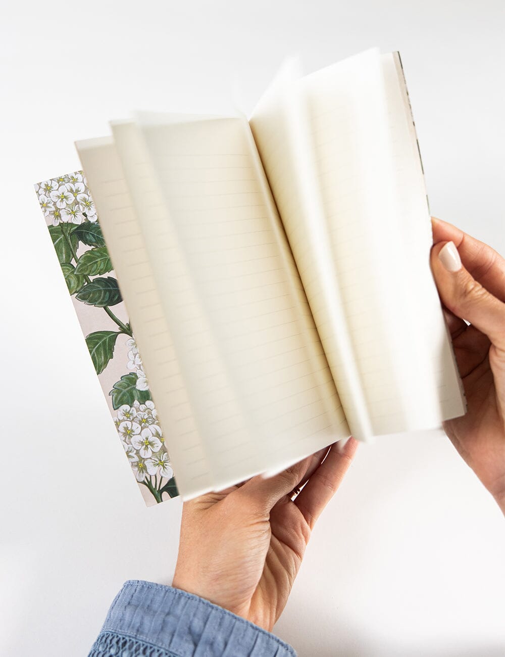 Pocket Notebook - Hydrangea (Lined)