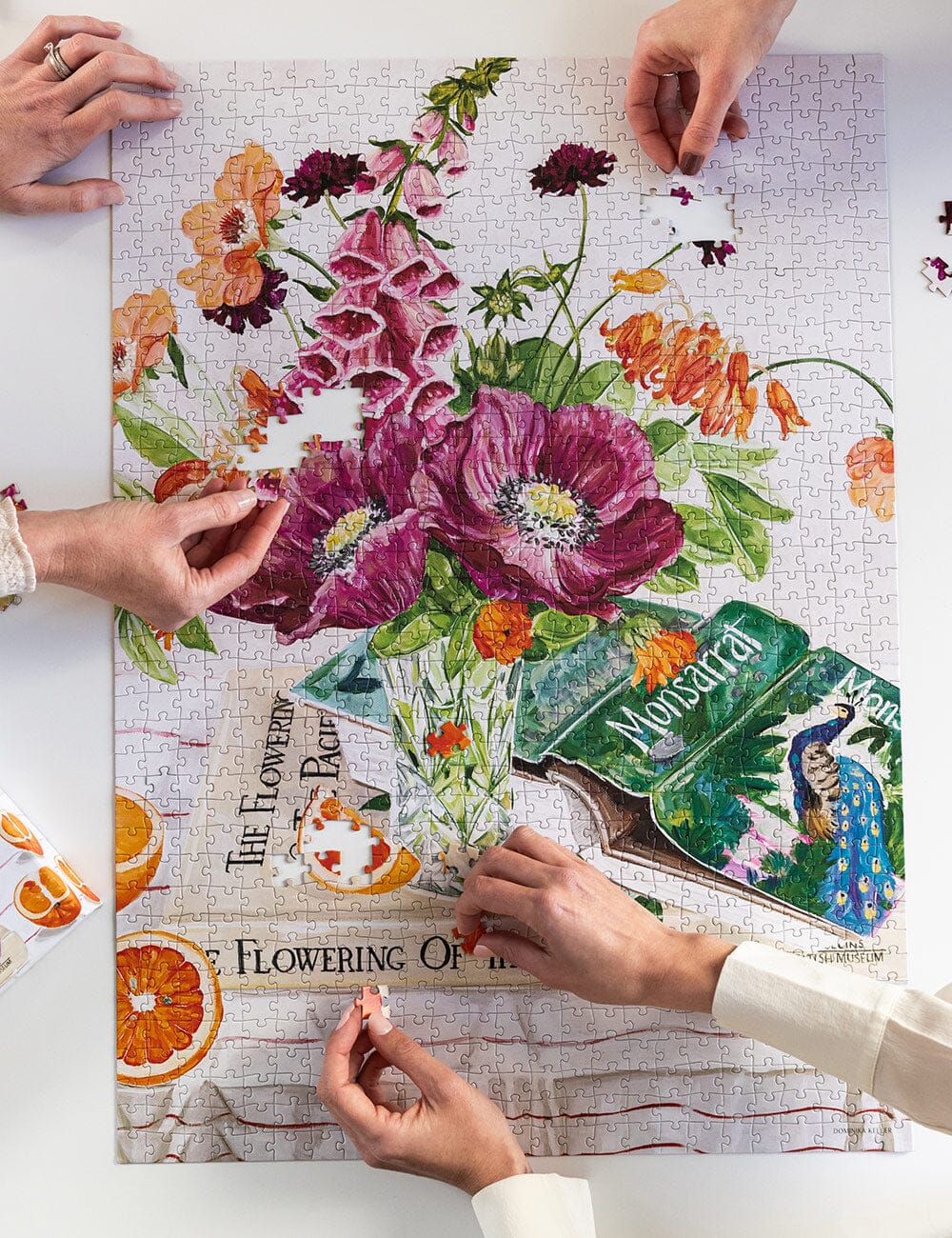Poppies and Foxglove 1000pc Puzzle