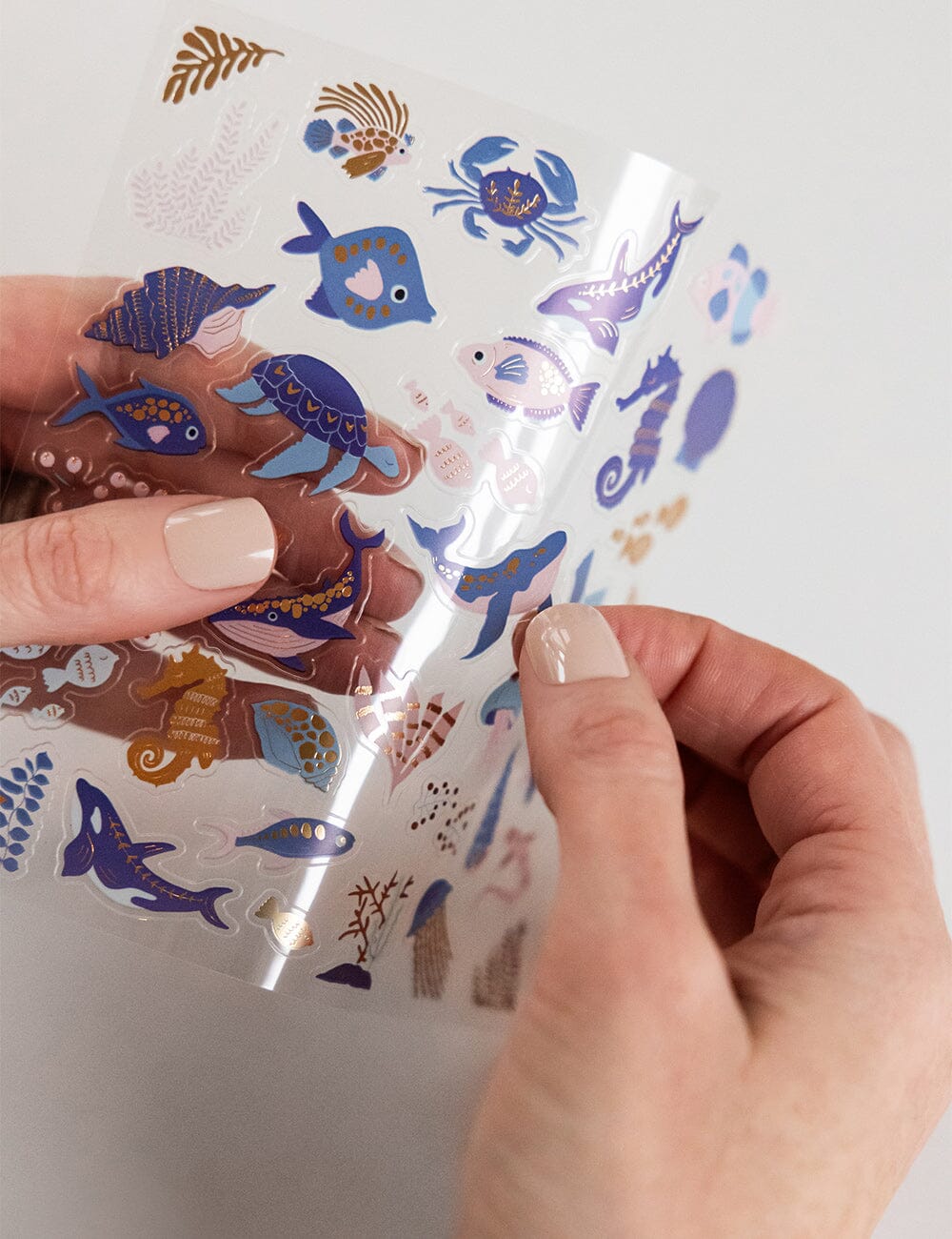 Under the Sea Sticker Sheet Stickers Bespoke Letterpress