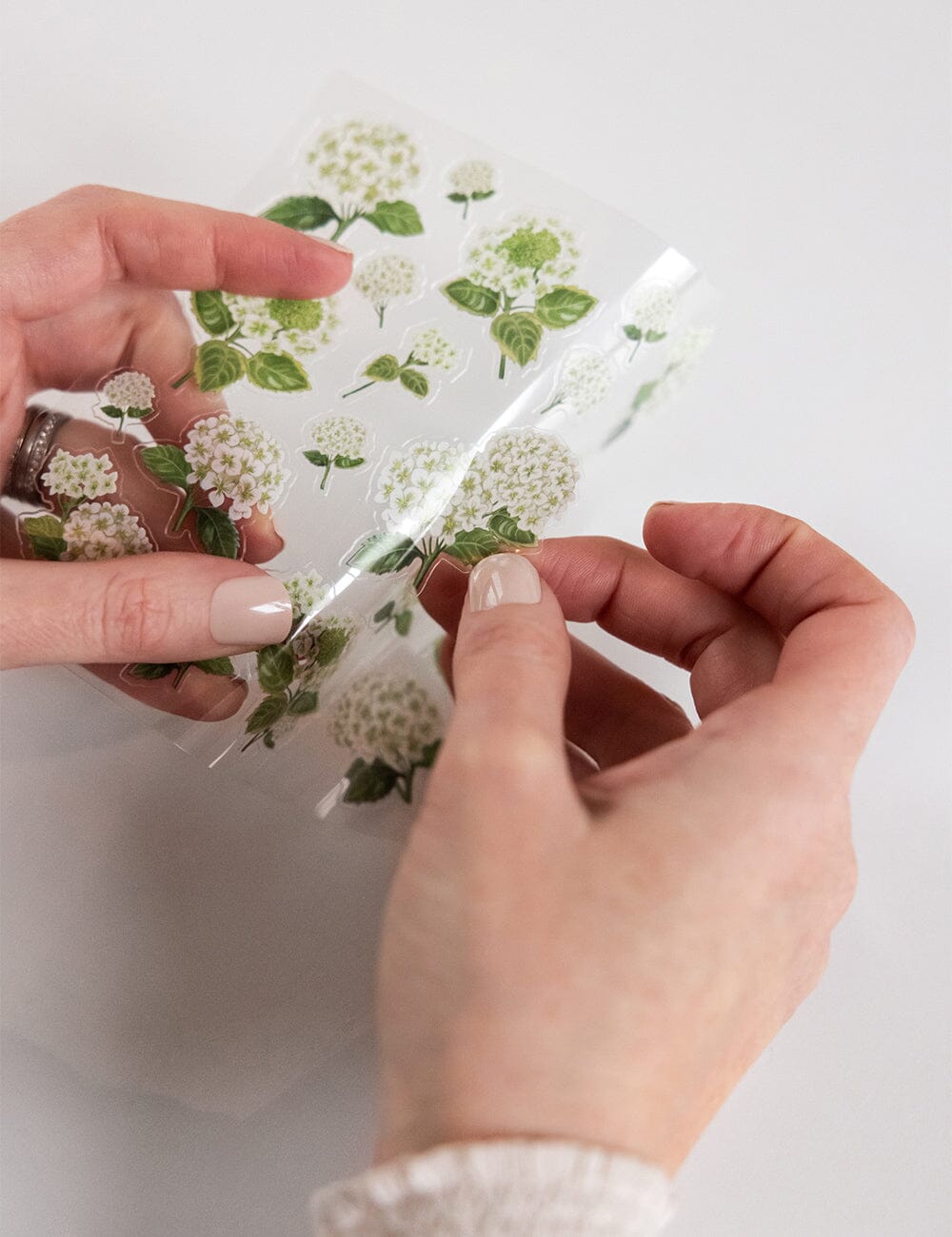 Hydrangea Sticker Sheet Stickers Bespoke Letterpress