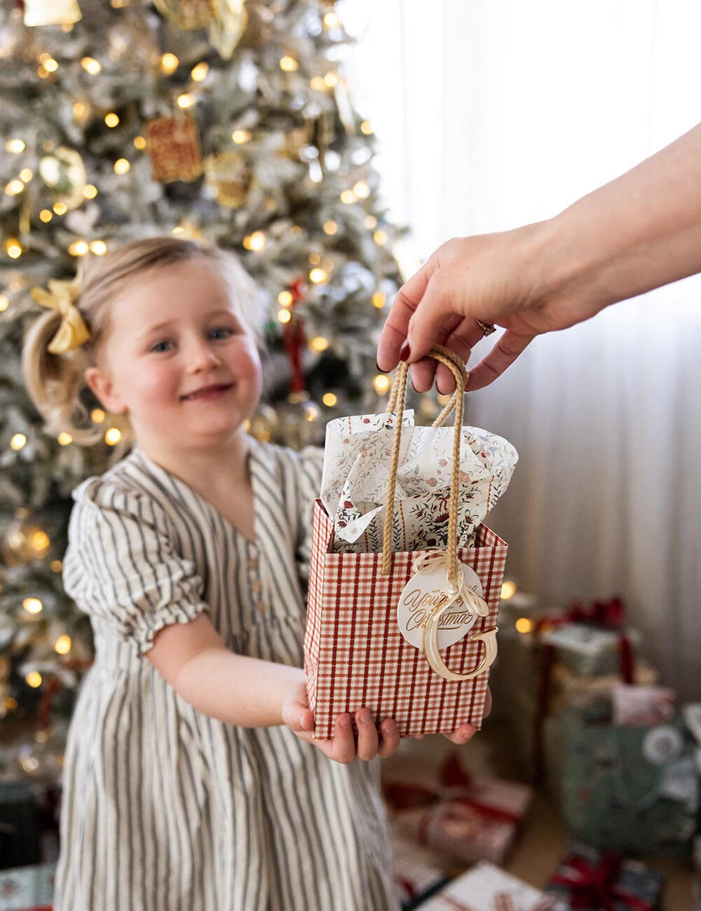 4pk Tissue Paper - Festive Florals