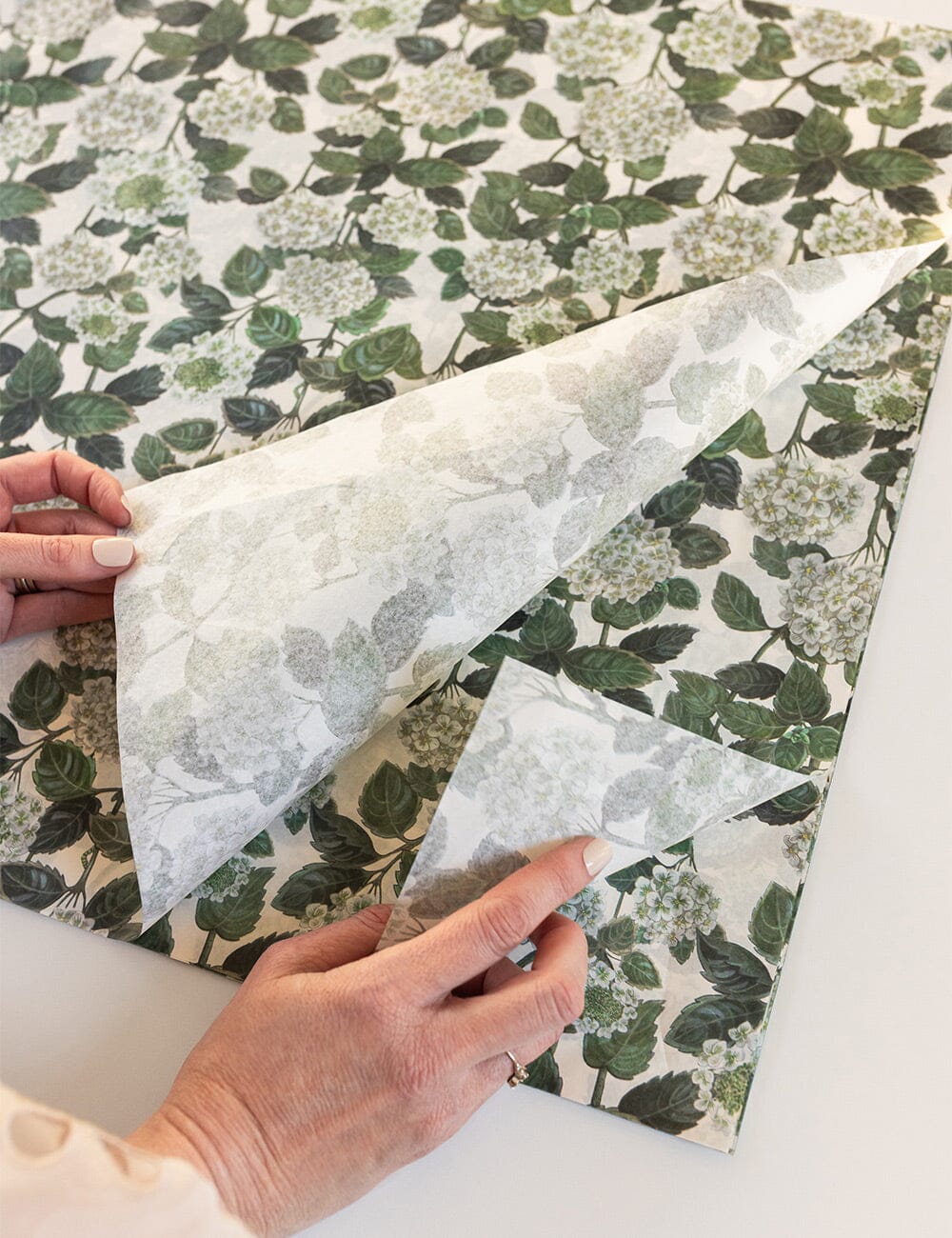 30pk Tissue Paper - Hydrangea Tissue Paper Bespoke Letterpress