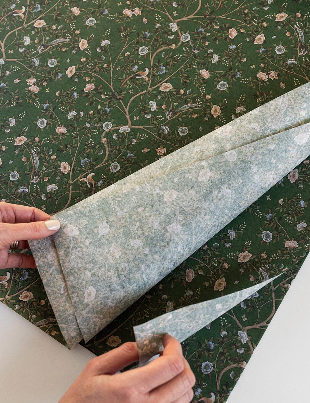 30pk Tissue Paper - Camellia Tree Tissue Paper Bespoke Letterpress