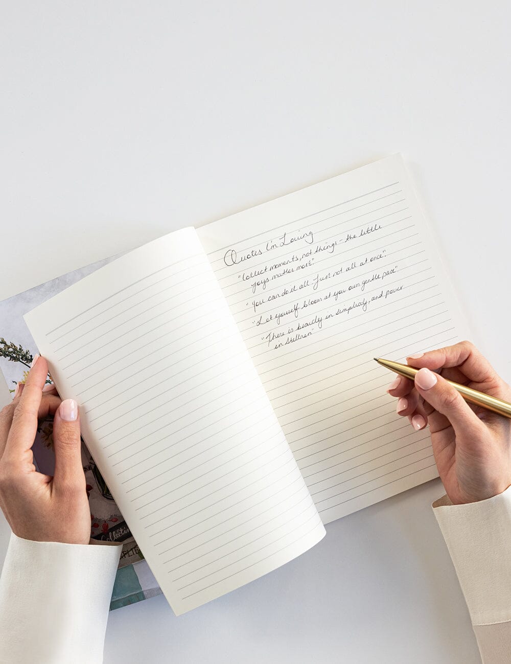 Native Wildflowers Workbook