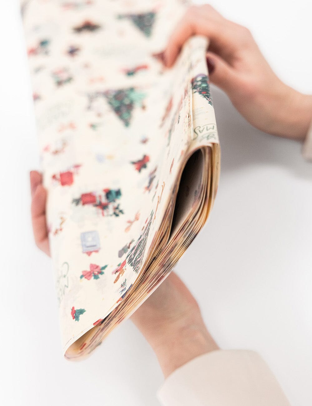 30pk Tissue Paper - Season of Joy
