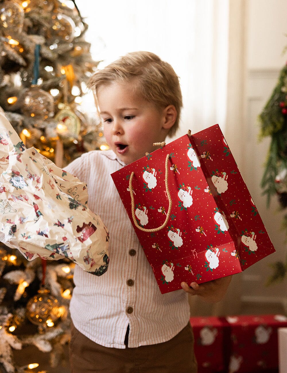 30pk Tissue Paper - Season of Joy
