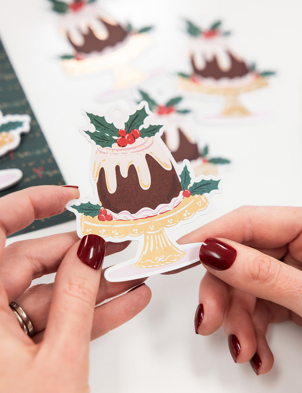 6pk Christmas Gift Tags Christmas Pudding