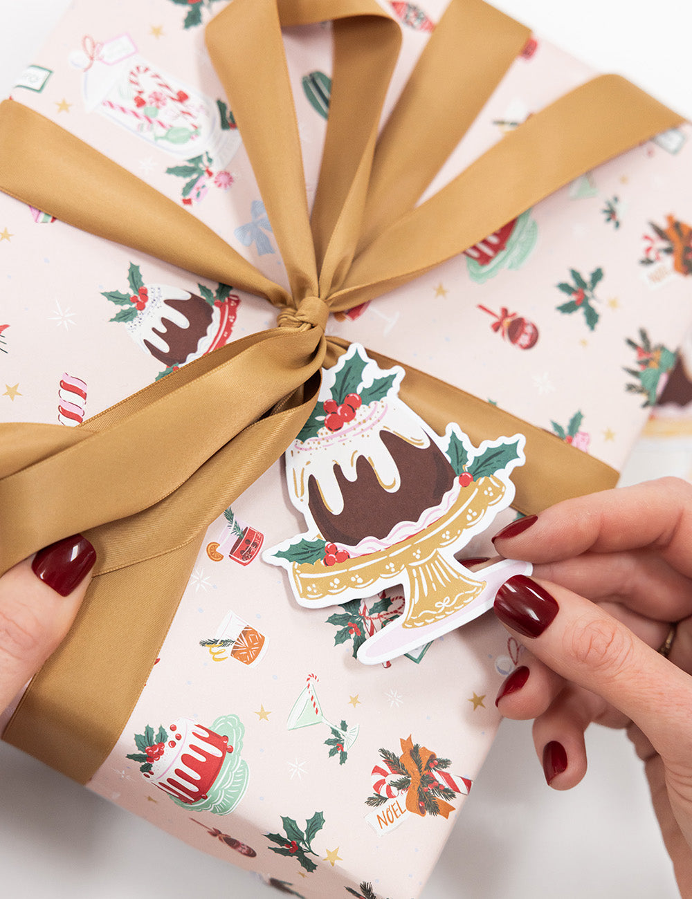 6pk Christmas Gift Tags Christmas Pudding