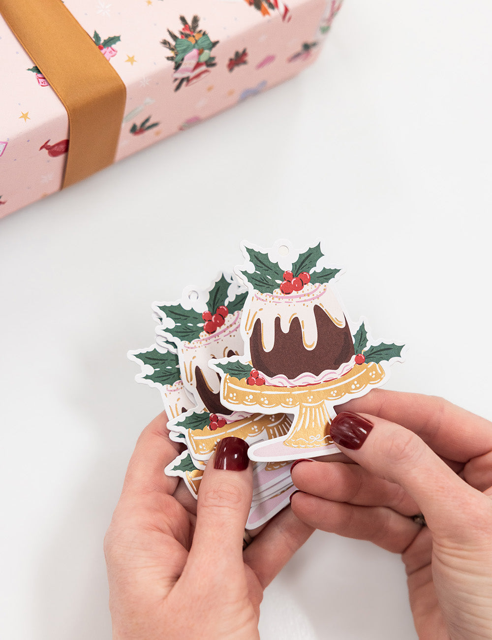 6pk Christmas Gift Tags Christmas Pudding
