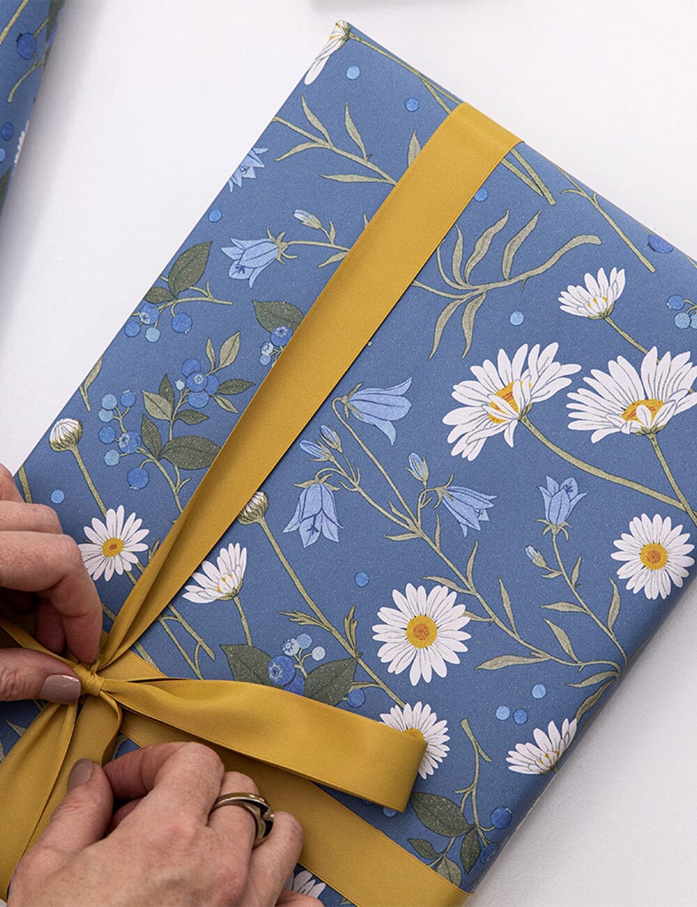 Gift Wrap Roll 3m -  Daisies