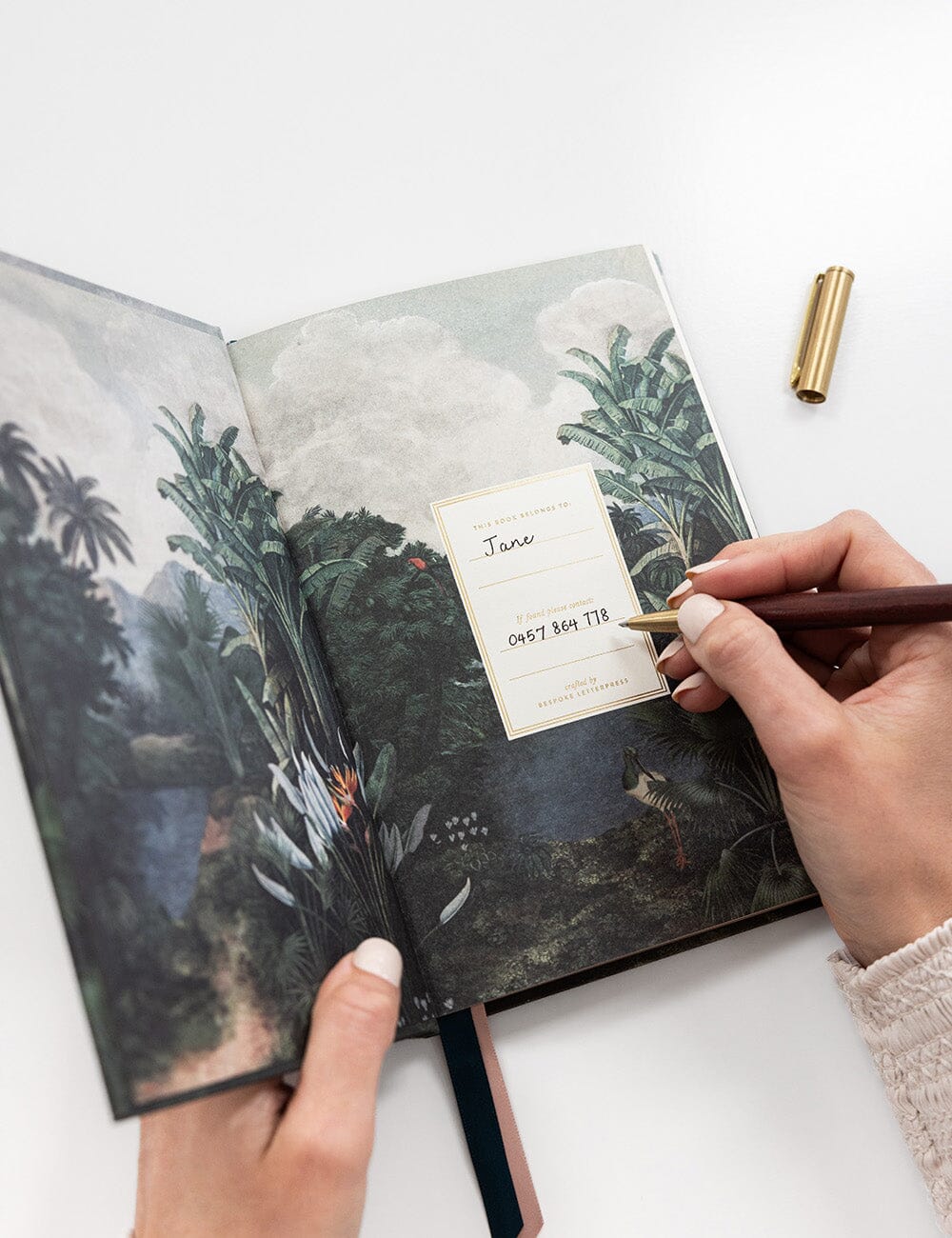 Reading Journal - The Tropics