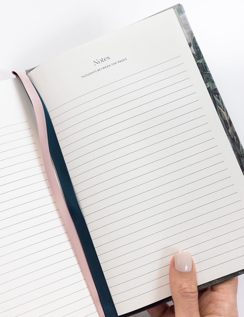 Reading Journal - The Tropics