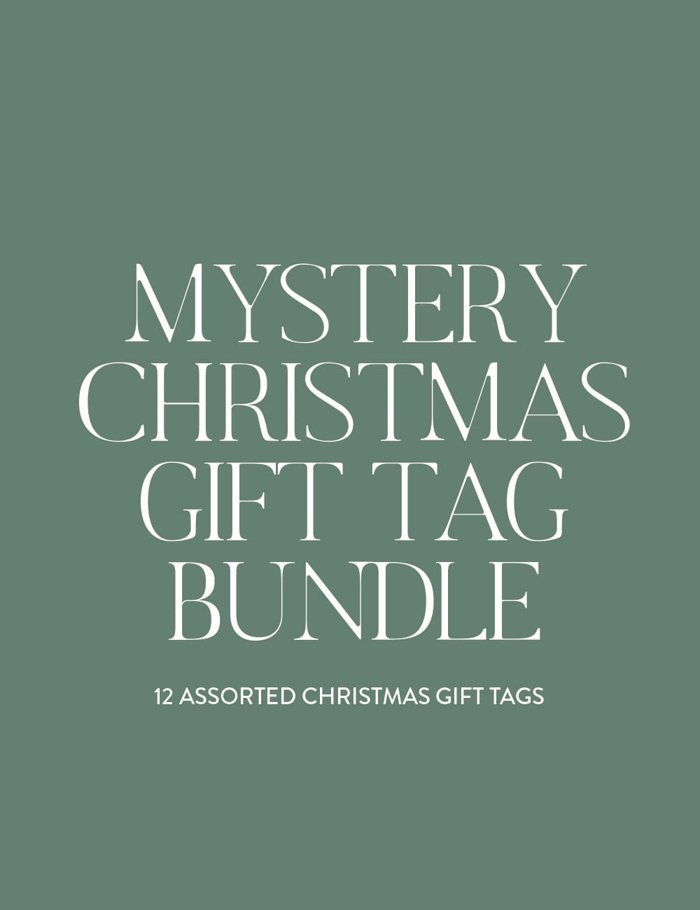 Mystery Christmas Gift Tag Assorted 12 Pack Bundle Gift Tags Bespoke Letterpress 