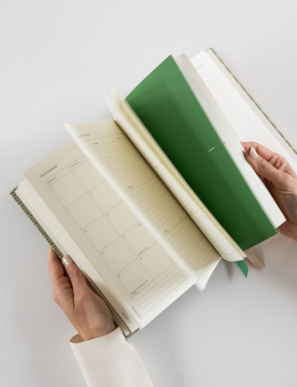 2026 Teachers Desktop Planner - Finch Bramble