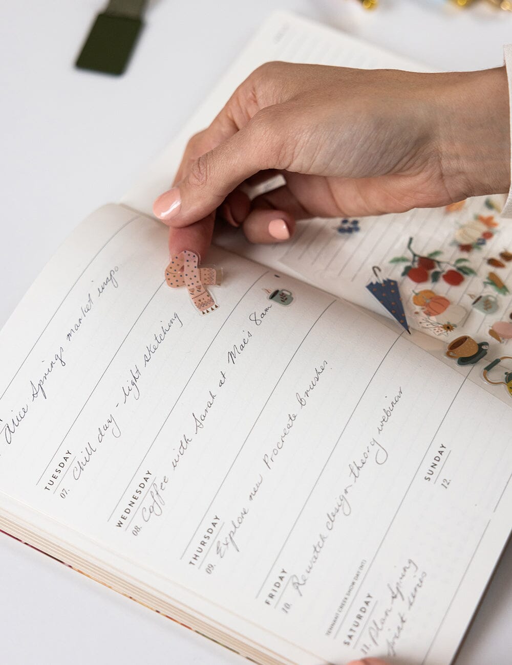 2026 Weekly Planner Notebook - Fairy Wren