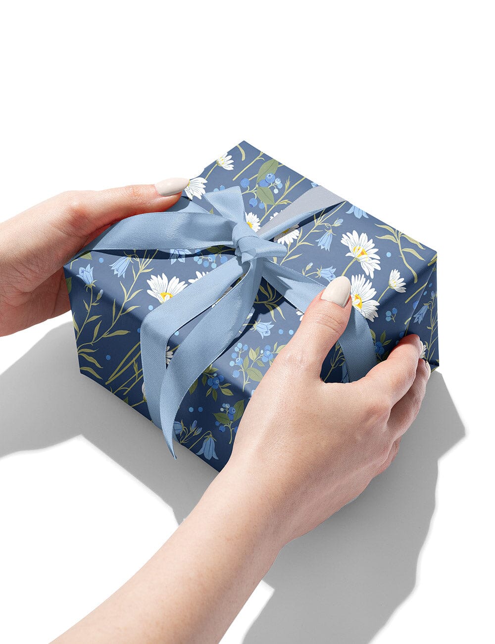 Gift Wrap Roll 3m -  Daisies