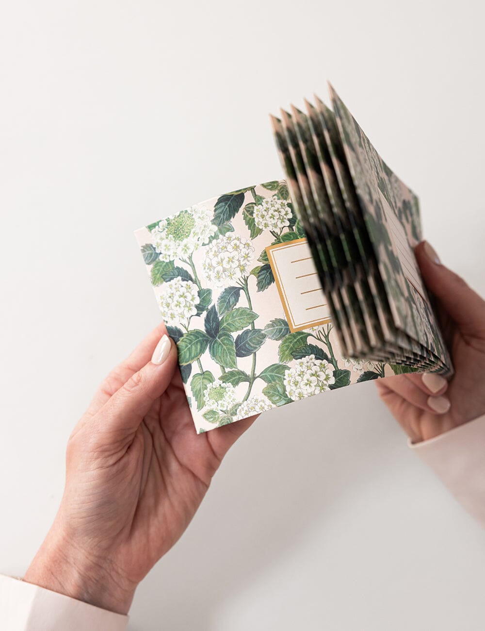 Hydrangea 10 Pack DL Envelopes