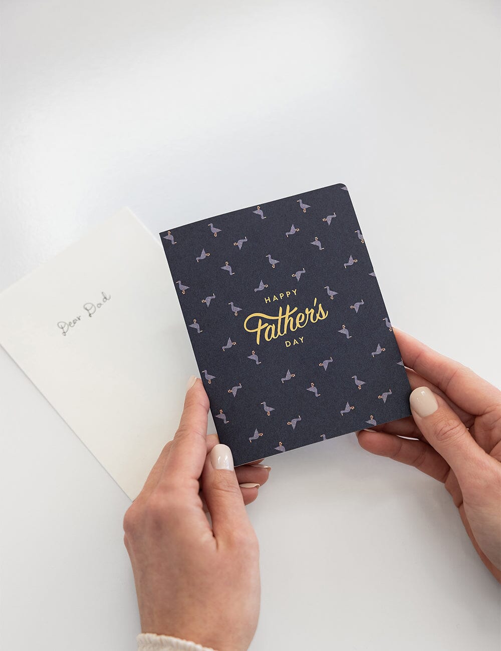 Happy Fathers Day Greeting Card (Seagulls)