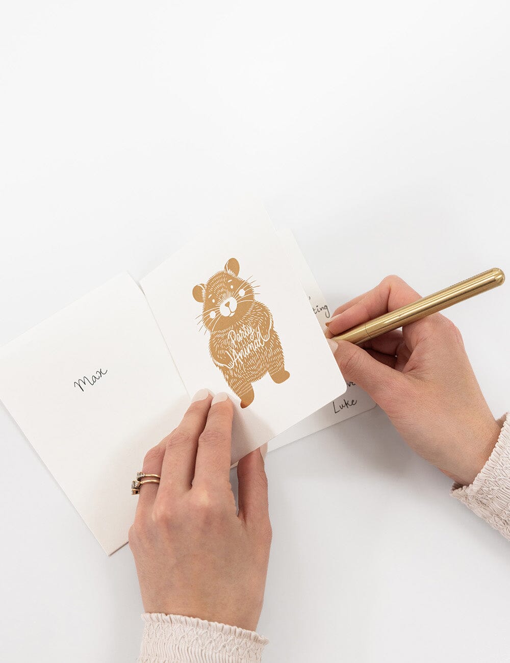 Party Animal Greeting Card - Hampster