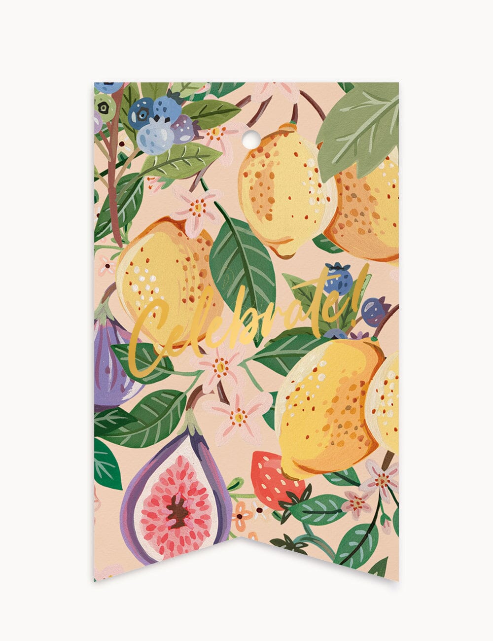 Fruit Celebrate - Tag 6 Pack Gift Tags Bespoke Letterpress 