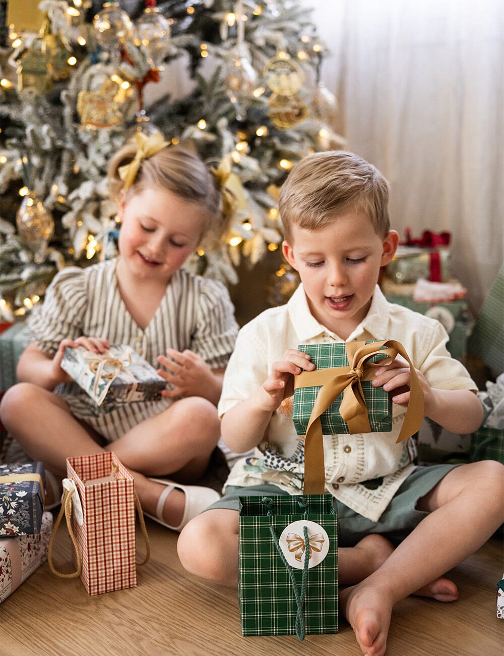 Small Gift Bag - Spruce Tartan