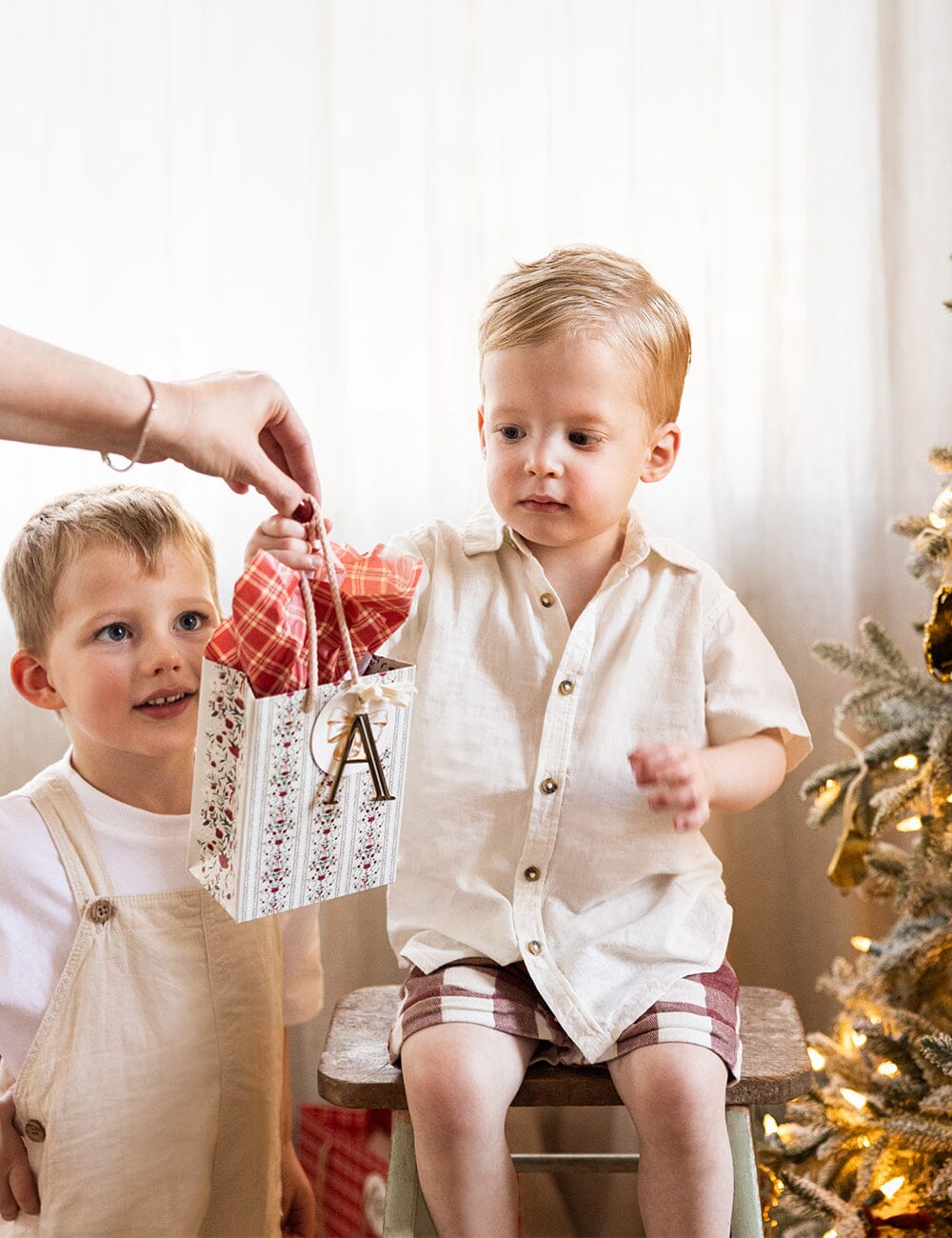 Small Gift Bag - Festive Florals