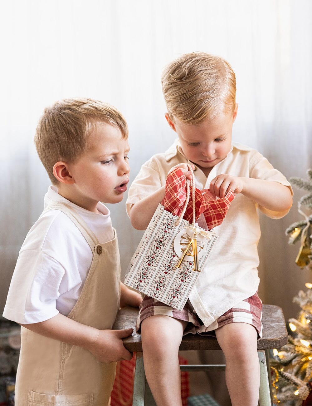 Small Gift Bag - Festive Florals