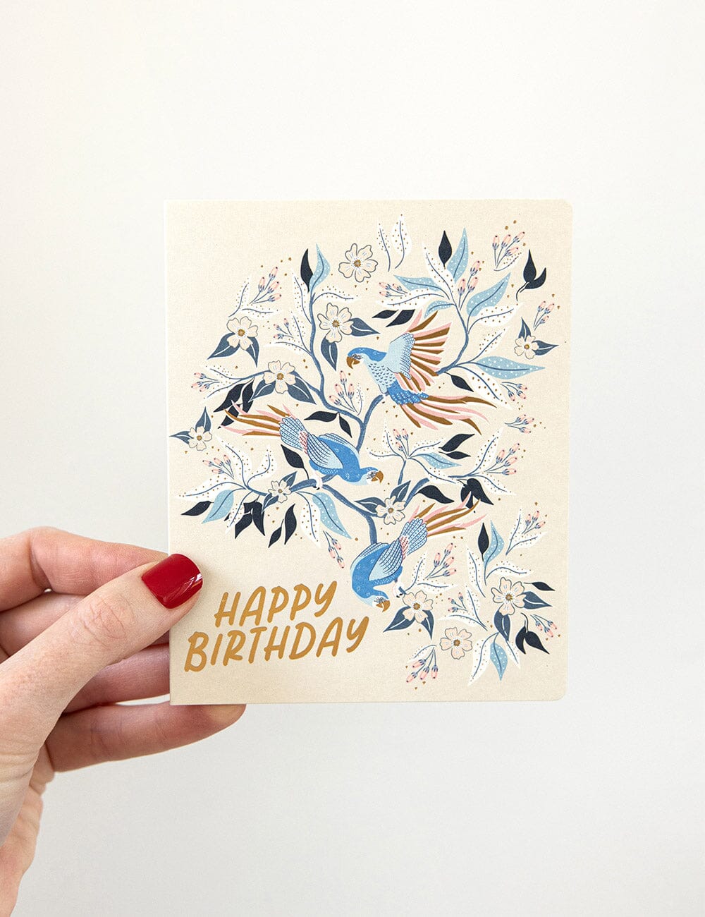 6 Pack Birthday Greeting Card Boxset - Parrots