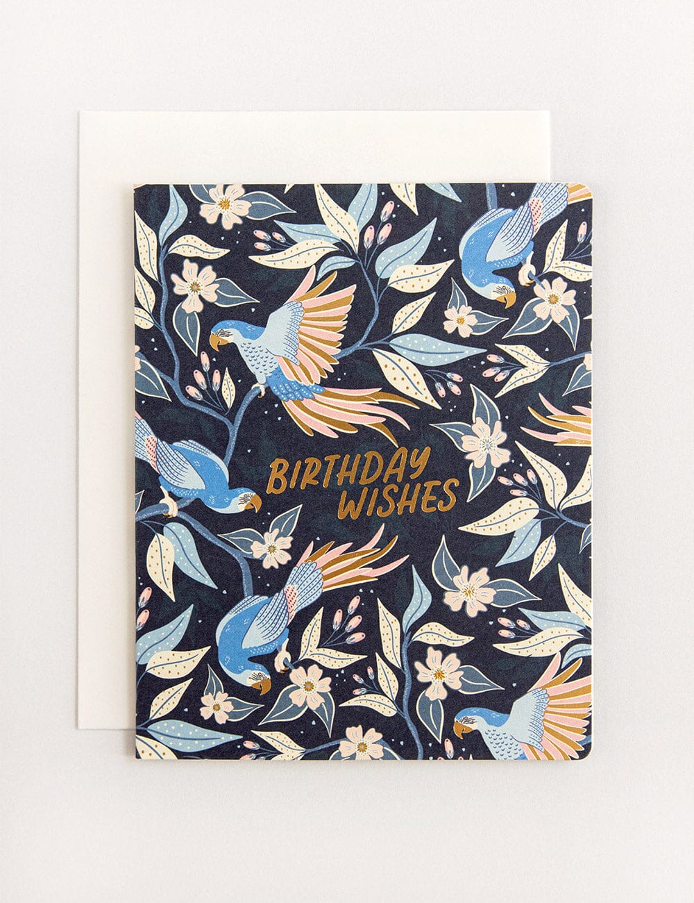 6 Pack Birthday Greeting Card Boxset - Parrots