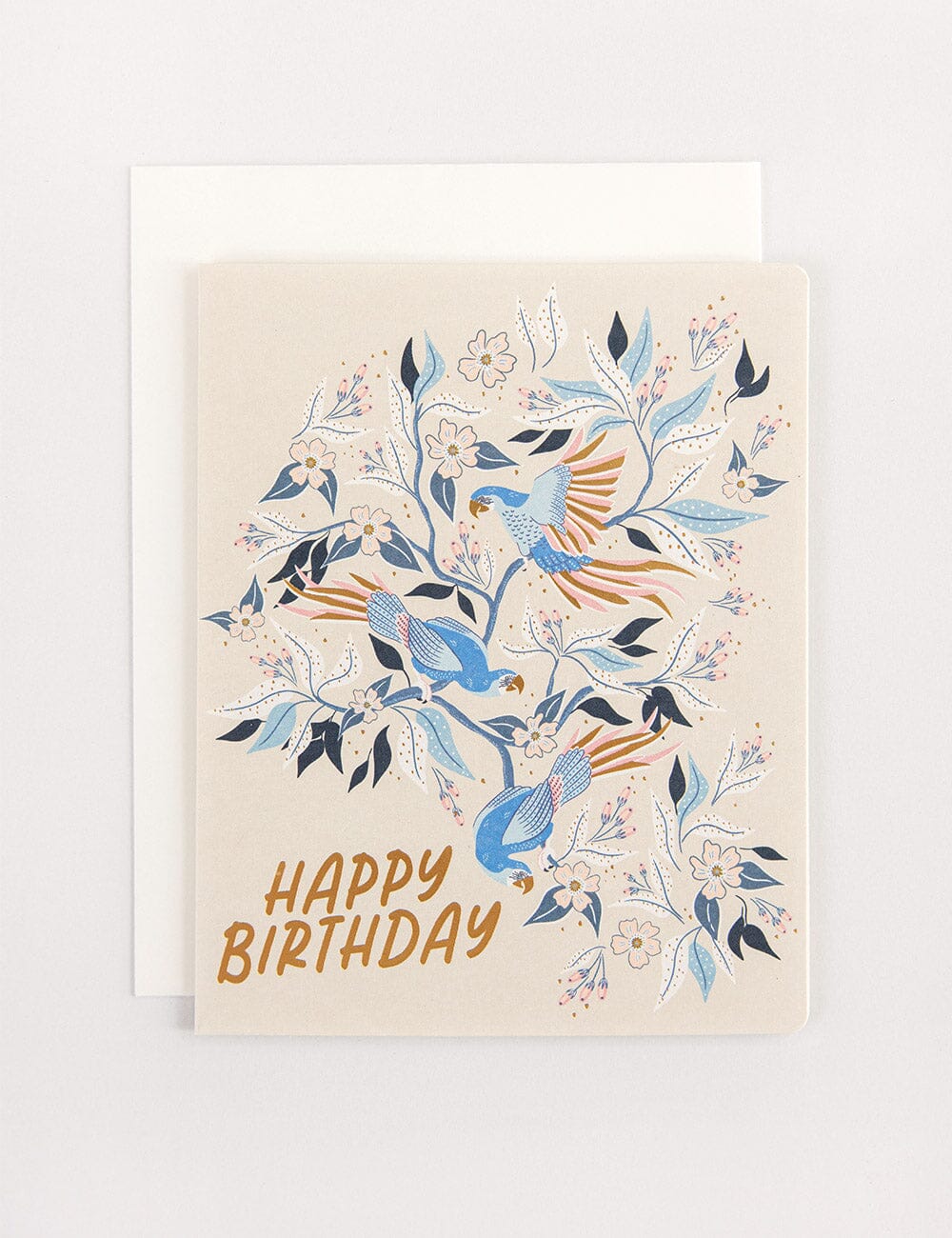 6 Pack Birthday Greeting Card Boxset - Parrots