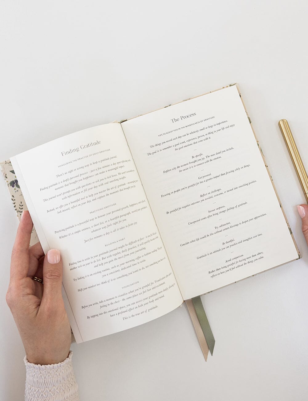 Gratitude Journal - Button Fern