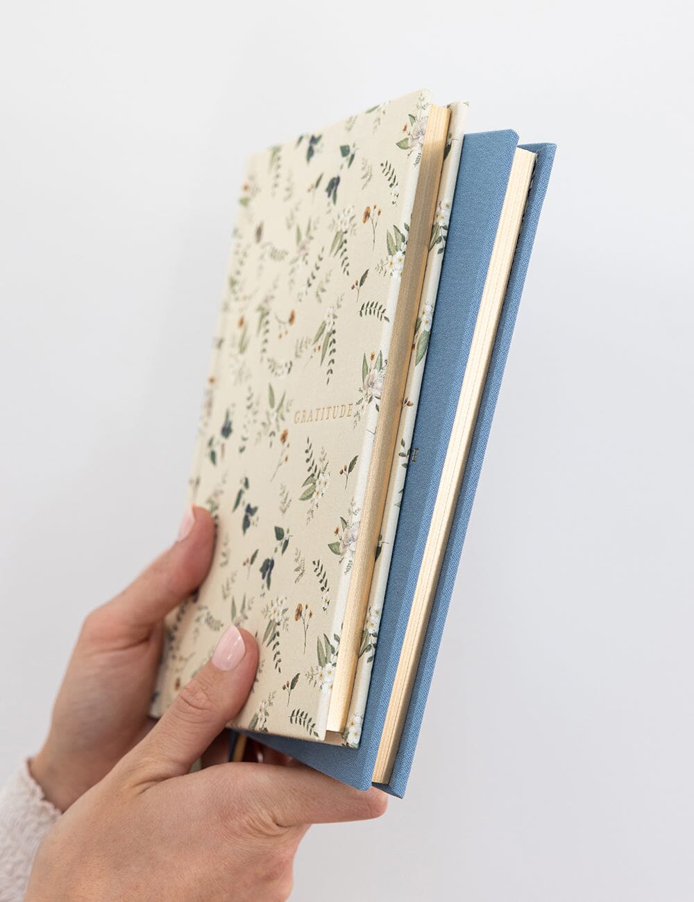 Gratitude Journal - Button Fern