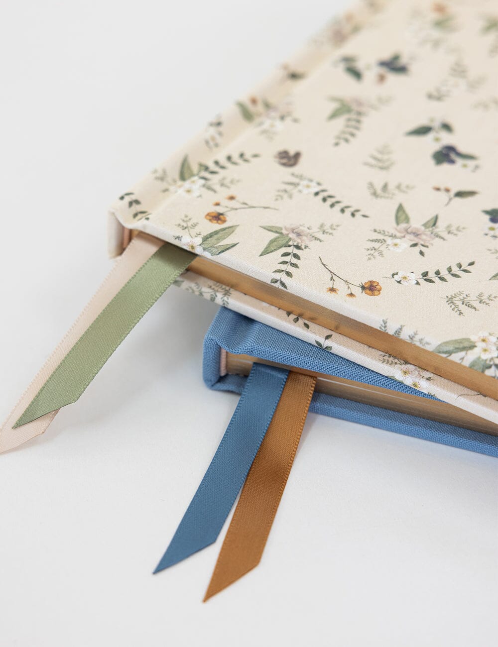 Gratitude Journal - Button Fern