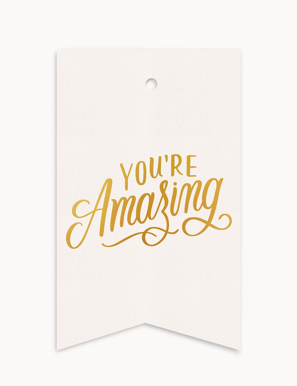 You're Amazing - Single Tag Gift Tags Bespoke Letterpress 