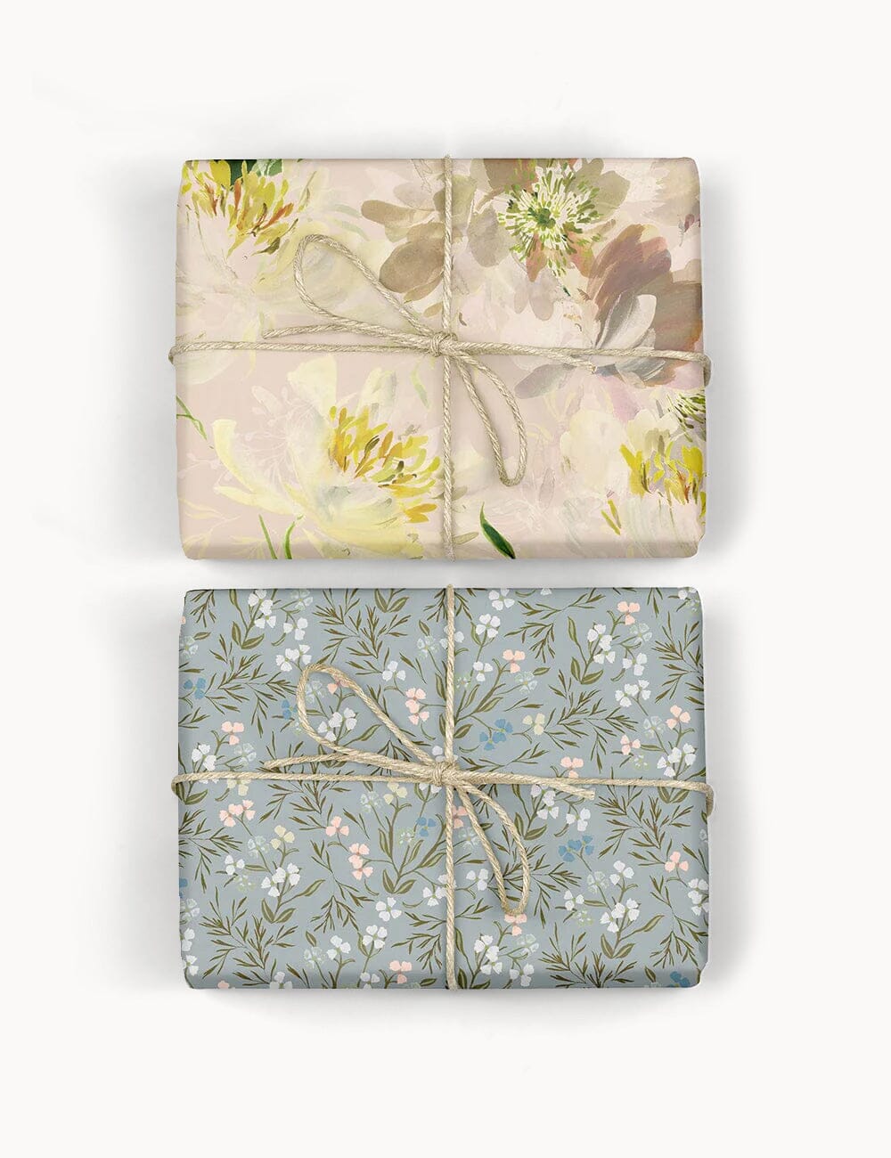 Peony Study/Primrose 6pk Gift Wrap