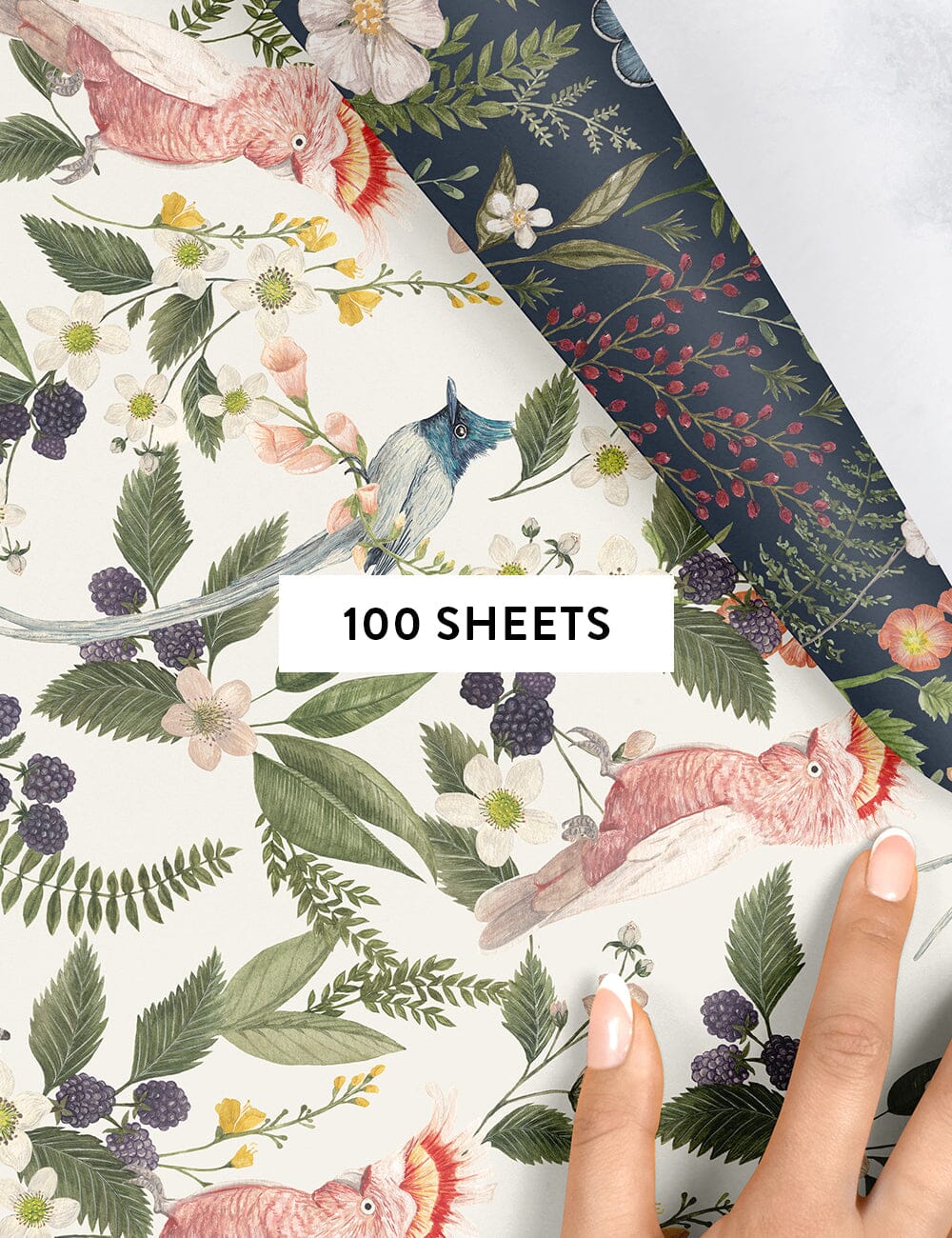 Cockatoo / Dusk In Bloom Gift Wrap 100pk