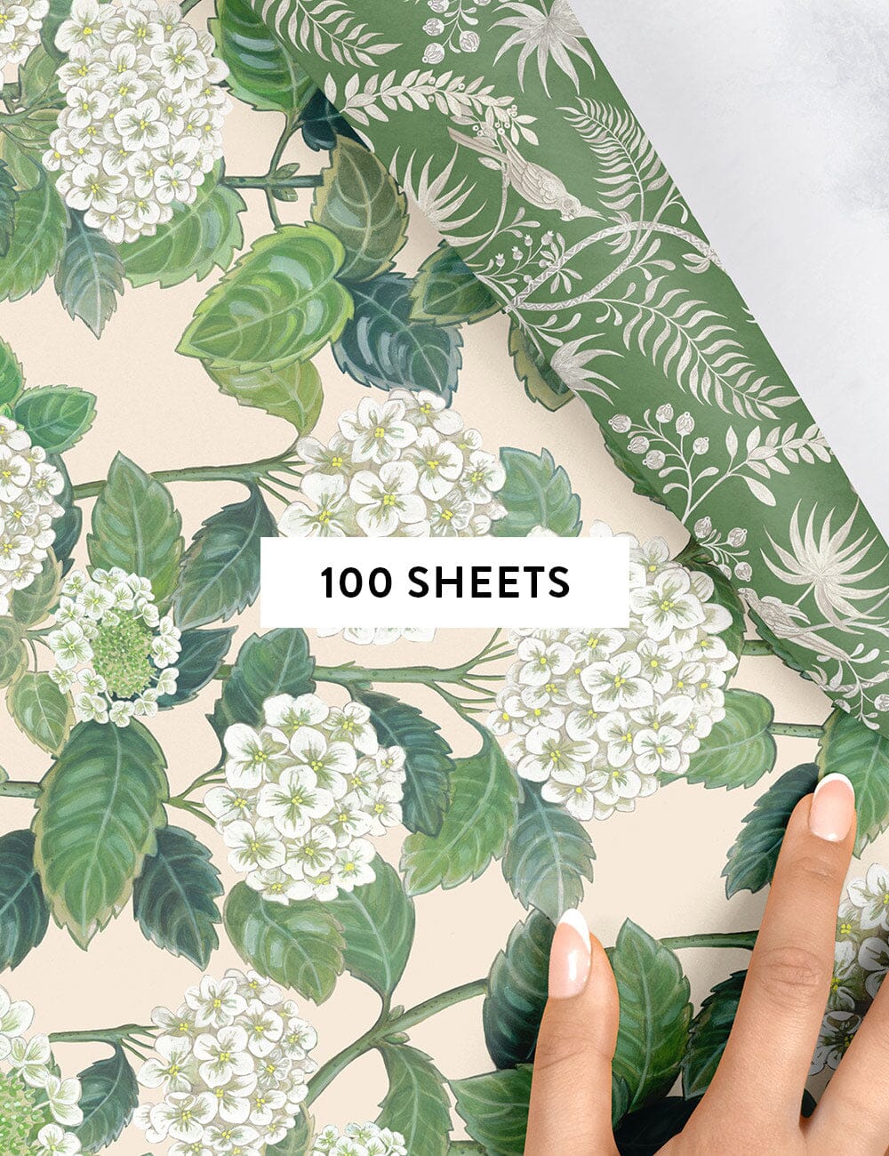 Hydrangea / Jardin Tropical Gift Wrap 100pk
